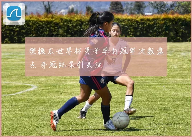 樊振东世界杯男子单打冠军次数盘点 夺冠纪录引关注