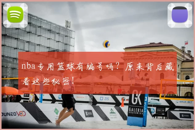 nba专用篮球有编号吗？原来背后藏着这些秘密！