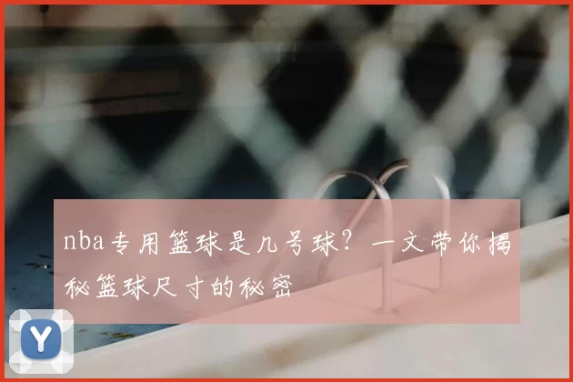 nba专用篮球是几号球？一文带你揭秘篮球尺寸的秘密