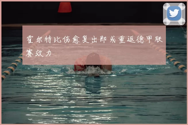 霍尔特比伤愈复出即或重返德甲联赛效力