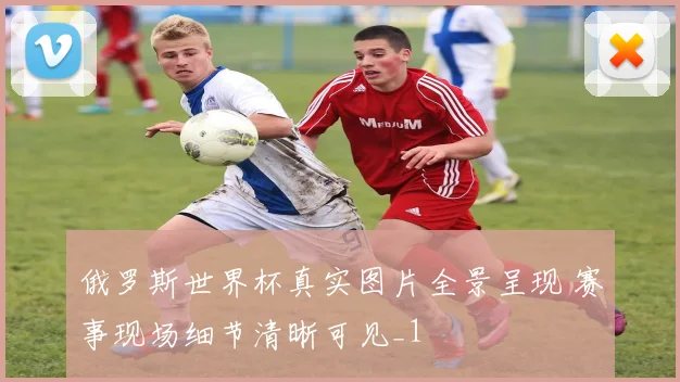 俄罗斯世界杯真实图片全景呈现 赛事现场细节清晰可见_1