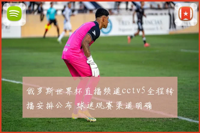 俄罗斯世界杯直播频道cctv5全程转播安排公布 球迷观赛渠道明确